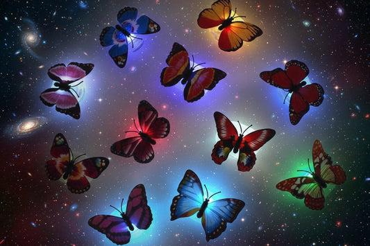 Butterfly led night light x12